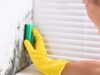 Effective Strategies for Black Mold Removal: The Ultimate Guide Black Mold Removal