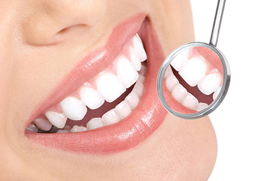 Oral Health For The Whole Family: A Dentist's Guide Oral Health