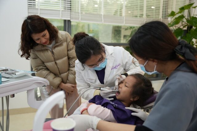 What Services Are Offered By A Family Dentist? Family Dentist