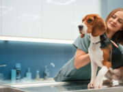 How General Veterinary Services Promote A Longer Life For Your Pet Veterinary Services