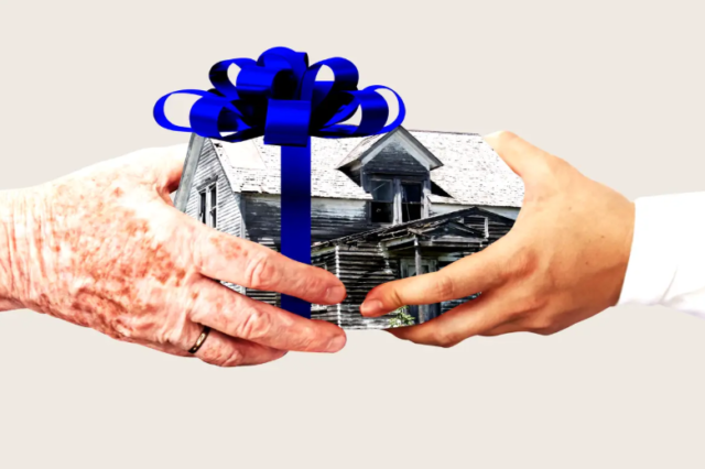Real Estate Ownership