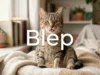 What a Blep Means: A Complete Guide to Cute Pet Slang, Common Causes, Funny Behaviors, and Important Health Warning Signs Every Pet Owner Should Understand Blep