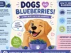 Can Dogs Have Blueberries? Complete Guide to Safe Portions, Health Benefits, Risks, Serving Tips, and What Every Dog Owner Should Know Can Dogs Have Blueberries