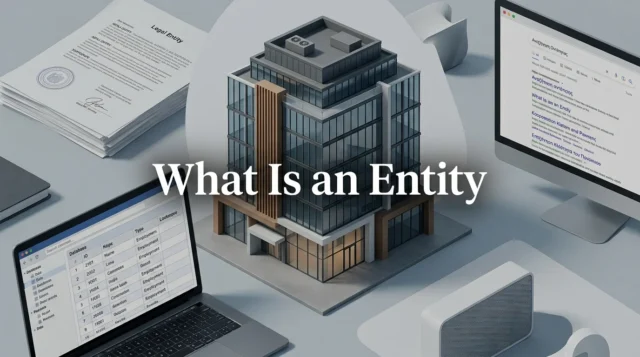 What Is an Entity